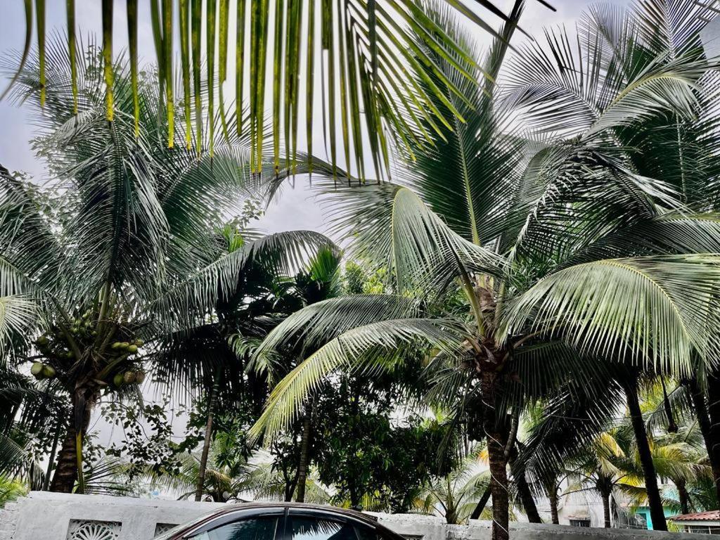 Seanest Hotel Alibag Exterior photo
